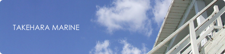 �|���}�����̎ʐ^